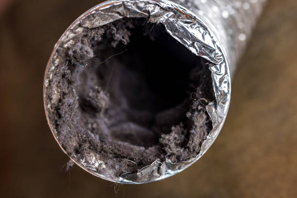 Best Affordable Air Duct Cleaning  in Cheraw, SC